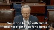 Chuck Schumer Israel GIF by GIPHY News