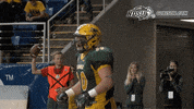 north dakota state football GIF by NDSU Athletics