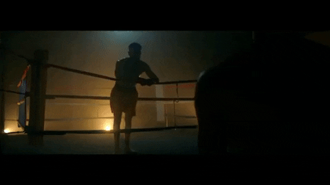 michael-blume giphygifmaker fight ring boxer GIF
