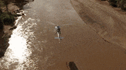 safari africa GIF by Yellow Zebra Safaris