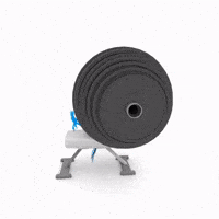 Dailybrrd GIF
