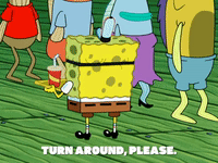 season 8 episode 21 GIF by SpongeBob SquarePants