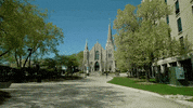 creighton bluejays college GIF by Creighton University