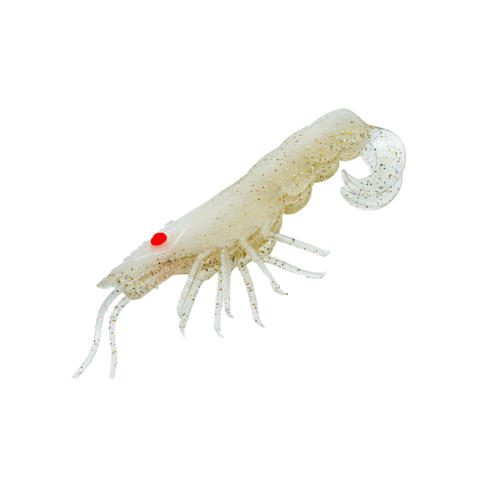 Curly Prawn Sticker by Chasebaits