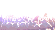 one night in karazhan dance GIF