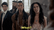 What The Hell Wtf GIF by CBS