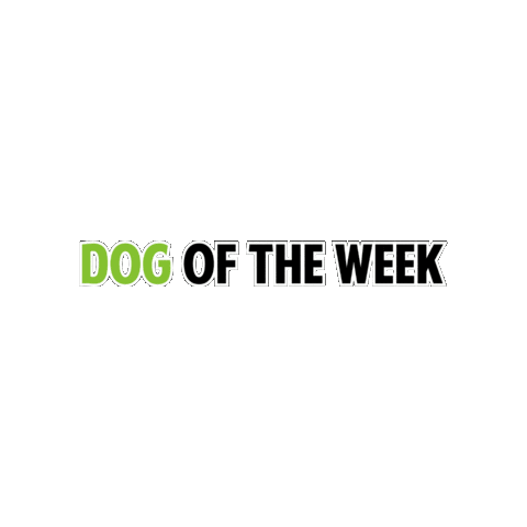 aarcs giphygifmaker aarcs dog of the week Sticker