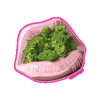 Pink Smoke Sticker by MissEnvyBotanicals