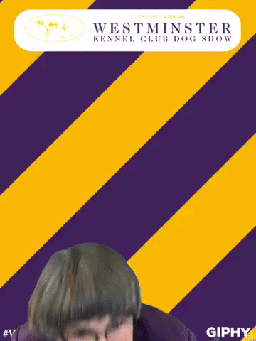 wkcdogshow GIF by Westminster Kennel Club