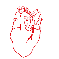 vvvioleta heart red flowers corazon Sticker
