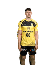Sport Handball Sticker by HSC 2000 Coburg