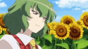 Sunflower GIF