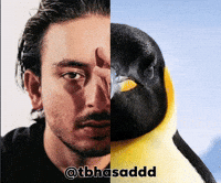 Tbhasaddd GIF