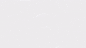 Diversification GIF