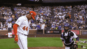Major League Baseball Sport GIF by MLB