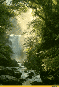 m GIF