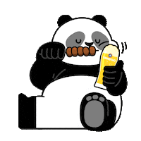 beerkorea beer panda 짠 tsingtao Sticker