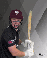 Bat Helmet GIF by Somerset County Cricket Club