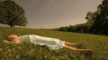 braid GIF by Topshelf Records