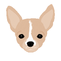 eddiethechihuahua dog face puppy dogs Sticker
