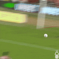 Football Save GIF by Nottingham Forest