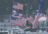 Sport Racing GIF by NASCAR