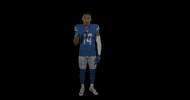 St Brown Yes GIF by Detroit Lions