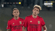 Sl Benfica Hug GIF by Sport Lisboa e Benfica