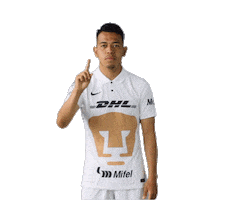 Liga Mx Soccer Sticker by Pumas MX