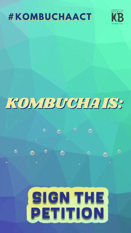 kombuchabrewers kombucha kbi protectrawkombucha kombuchaact GIF