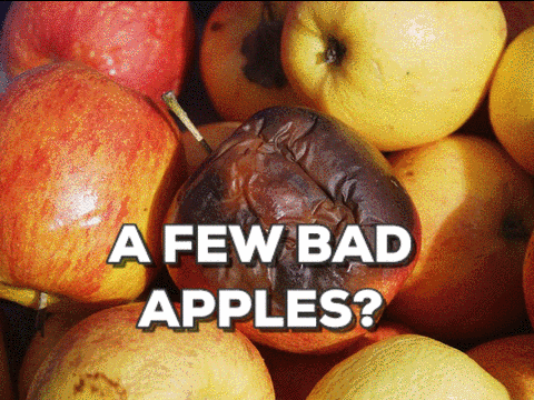 apples GIF by Center for Story-based Strategy 