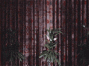 Video gif. A vintage shot of an empty drawing room and a man pokes his head in the frame from the side. He gives us a confused look, as if questioning who we are, shakes his head and pulls away.