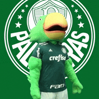 soccer ball GIF by SE Palmeiras