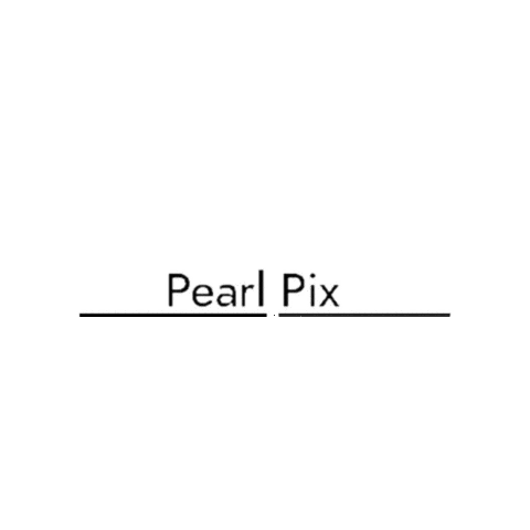 PearlPixPhotoBooth giphygifmaker photobooth photo booth pppb Sticker
