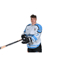 Ice Hockey Sport Sticker by IceFightersLeipzig