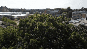 Construction Campus GIF by fairfieldu