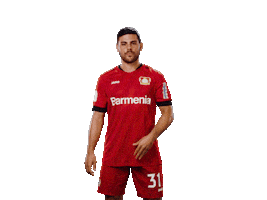 Bayer 04 Love Sticker by Bayer 04 Leverkusen