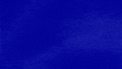Dawg Reservoirs GIF by Jeopardy!