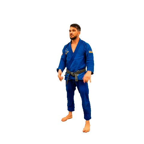 Ufc Brazilianjiujitsu Sticker by Alliance Jiu-Jitsu Association