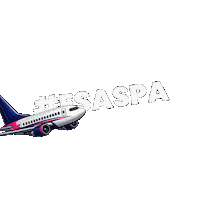 Aviacion Aspa Sticker by Grupo LICON