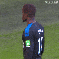 Cant Hear You Premier League GIF by CPFC