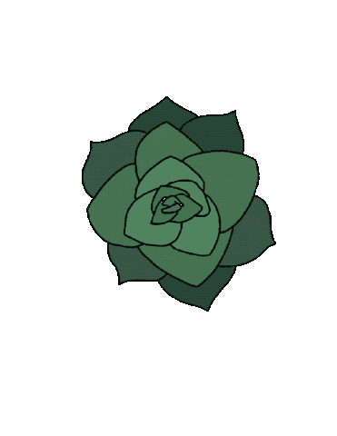 Plant Succulents Sticker