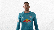 The Wall Football GIF by RB Leipzig