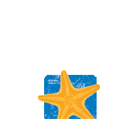 panhandlegetaways beach pcb phg panhandle Sticker