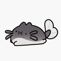 PondHQ cat cats mimi stomp GIF