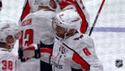 Happy Washington Capitals GIF by NHL