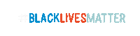Rally Protest Sticker