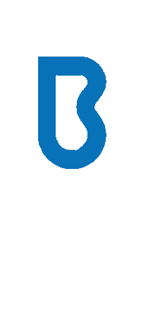 Br Sticker by Brainrider Inc.