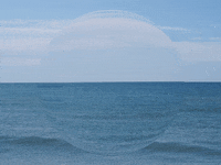 You Can Wow GIF by FranchiseONE.de