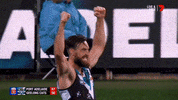 Aussie Rules Celebrations GIF by AFL